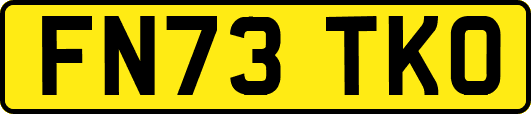FN73TKO