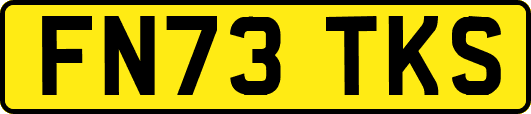 FN73TKS
