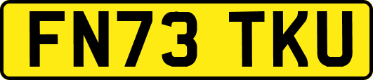 FN73TKU