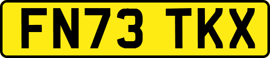 FN73TKX