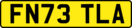 FN73TLA