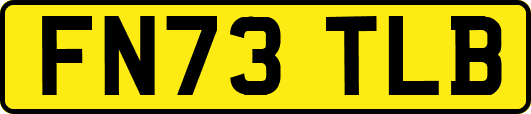FN73TLB
