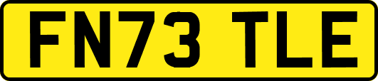 FN73TLE