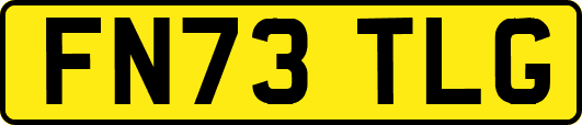 FN73TLG