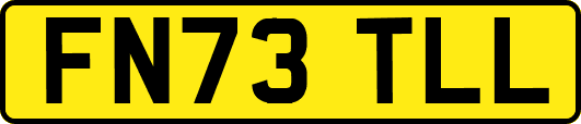 FN73TLL