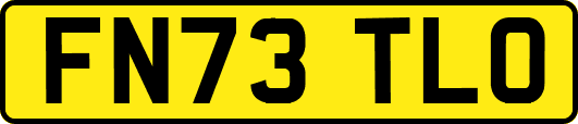FN73TLO