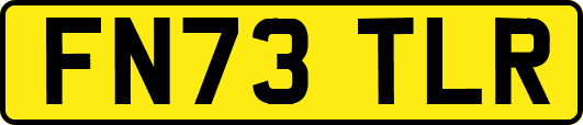 FN73TLR