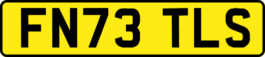 FN73TLS