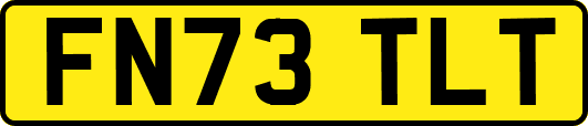 FN73TLT