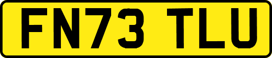 FN73TLU