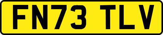 FN73TLV