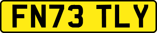 FN73TLY