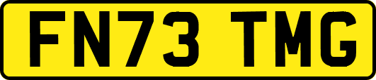 FN73TMG