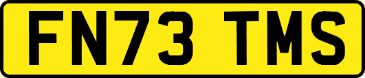 FN73TMS