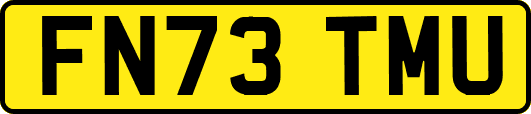 FN73TMU