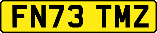 FN73TMZ