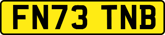 FN73TNB