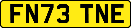 FN73TNE