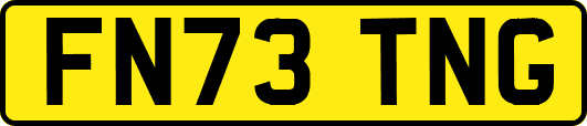FN73TNG