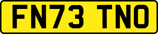 FN73TNO