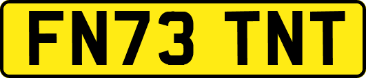 FN73TNT
