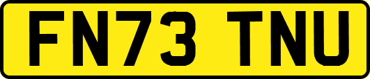 FN73TNU