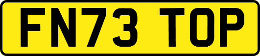 FN73TOP