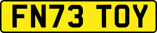 FN73TOY