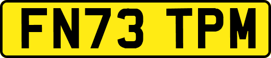 FN73TPM