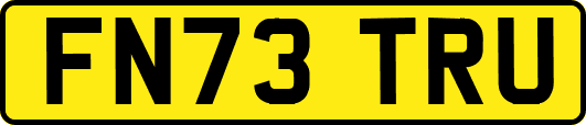 FN73TRU