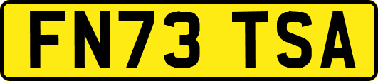 FN73TSA