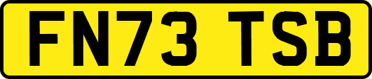 FN73TSB