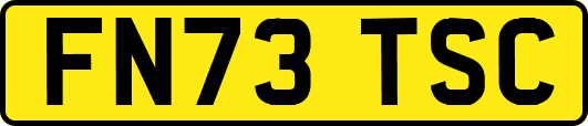 FN73TSC
