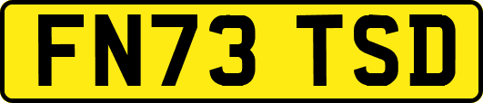FN73TSD