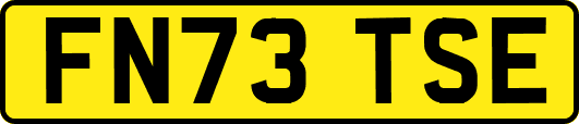FN73TSE