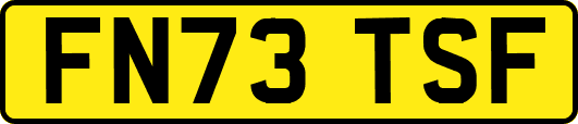 FN73TSF