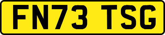 FN73TSG