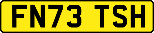 FN73TSH