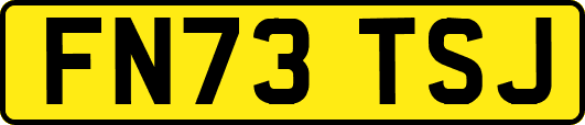 FN73TSJ