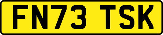 FN73TSK