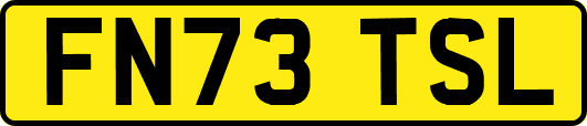 FN73TSL