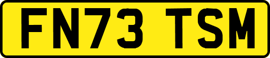 FN73TSM