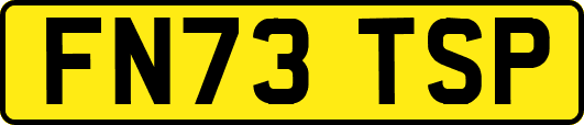 FN73TSP
