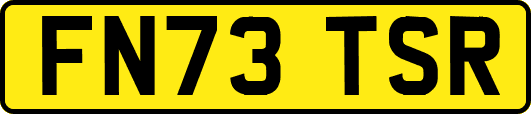 FN73TSR