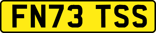 FN73TSS