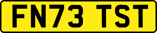 FN73TST