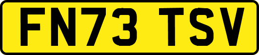 FN73TSV