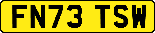 FN73TSW