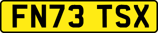 FN73TSX