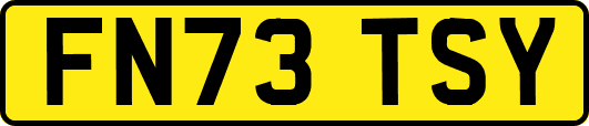 FN73TSY